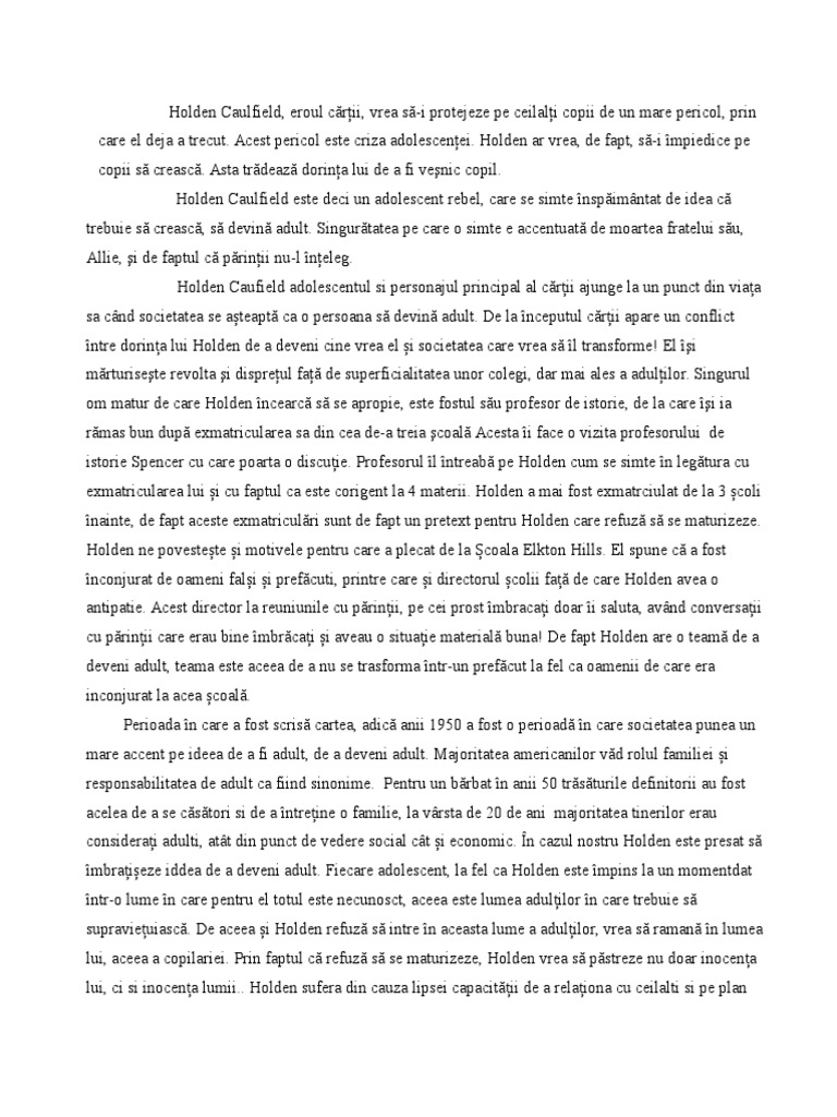 De Veghe in Lanul de Secara Rezumat