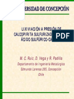 P01 Maria C. Ruiz PDF