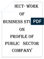 Project-Work of Business Studies On Profile of Public Sector Company