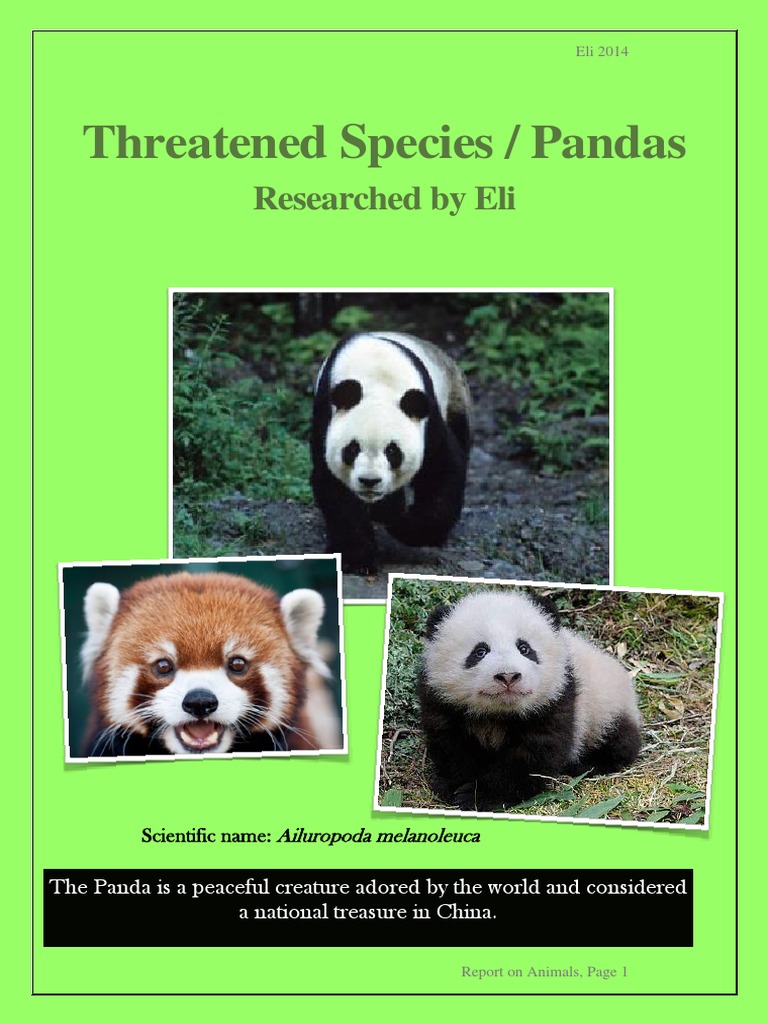 Threatened Species Pandas | PDF