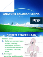 Anatomi Saluran Cerna EDIT 1