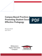 Campus-Based Practices For Promoting Student Success: Effective Pedagogy
