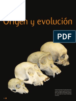 Evolucion de Primates