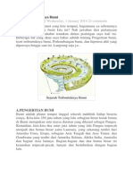 Proses Terbentuknya Bumi