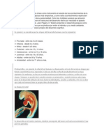 La Psicología Del Desarrollo Ofrece Como Instrumento El Estudio de Los Acontecimientos de La Vida Del Sujeto Desde Las Épocas Más Tempranas