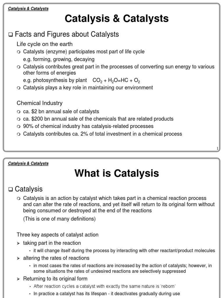 Understanding Catalysts and Their Roles | PDF | Science & Mathematics ...