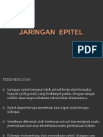 Jaringan Epitel 2013