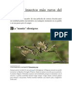 Los Diez Insectos Más Raros Del Mundo. ( 5- La Mantis Alienígena )