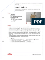 Terezin Domaci Baileys PDF