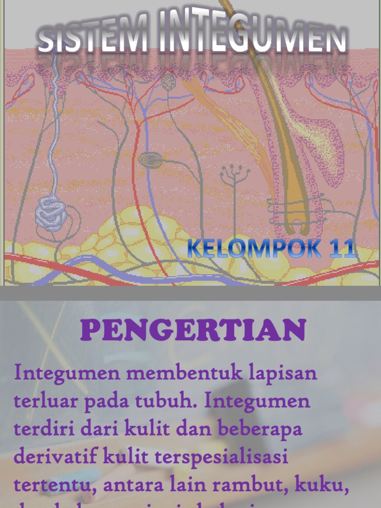 Pengantar Sistem Integumen Manusia | PDF