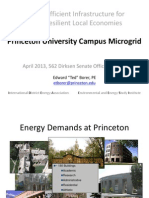 Princeton University Microgrid Design