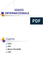 Organizatii Internationale