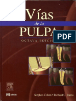 Endodoncia - Vías de La Pulpa - 2