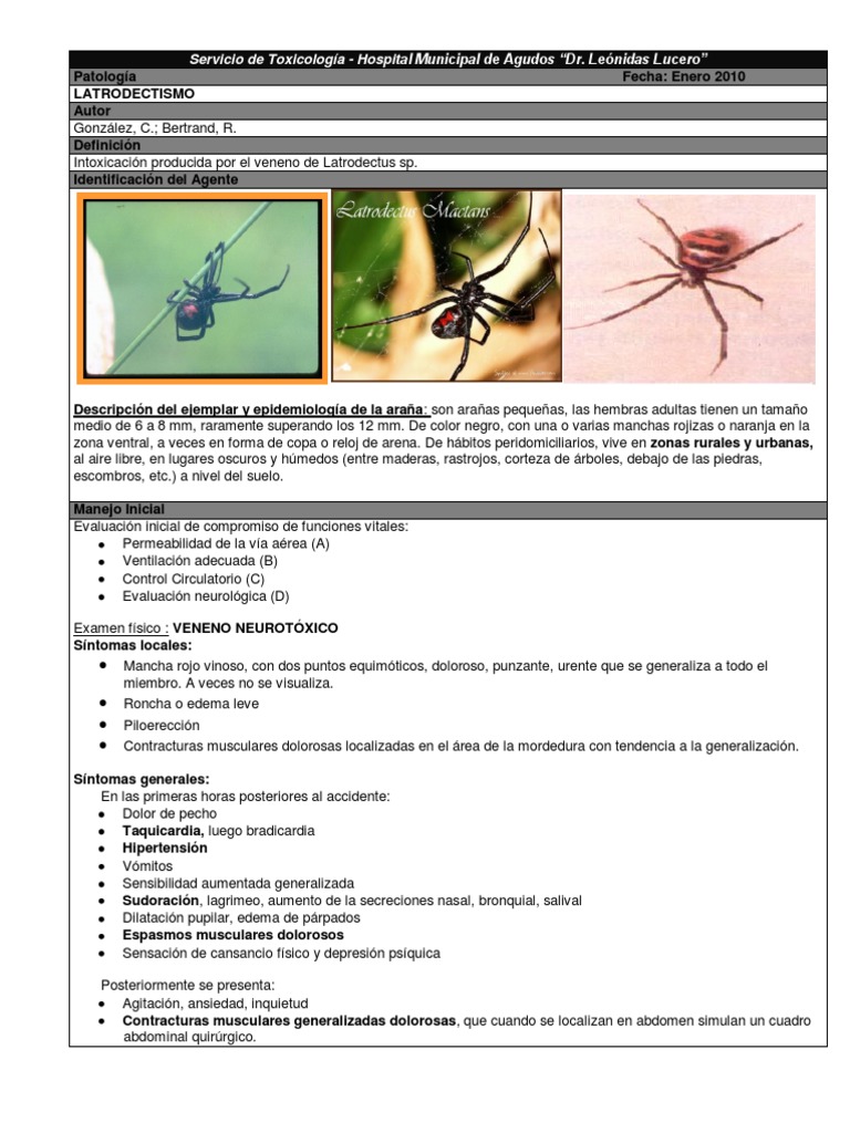 LATRODECTISMO Ciencias de la Salud Bienestar