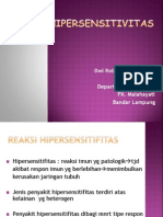 Hipersensitivitas PPT New