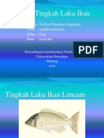 Tli Ikan Lencam