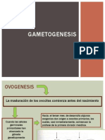 GametoGenesis