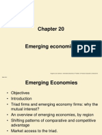 Chapter 20 - Emerging Economies