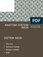 Anatomi Sistem Imun