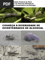 Cartilha sobre a biodiversidade de invertebrados de algodoal/PA