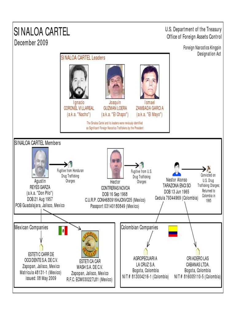 Sinaloa Cartel Press Chart | PDF | Sinaloa Cartel | Organized Crime ...