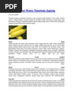 Download Pengendalian Hama Tanaman Jagung by risa17061995 SN250130404 doc pdf