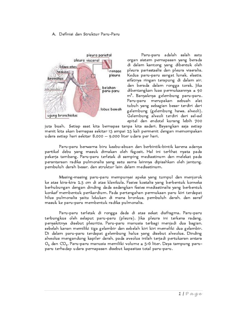 Jaringan Pada Organ Paru-paru