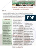 Politica Sintesis5 Economia de Adaptacion Agricola Cambio Climatico