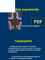 Glandele suprarenale.ppt