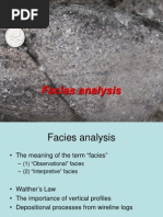 Facies Analysis