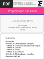 Trabalho Otimização 2014.2