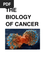 Download The Biology of Cancer by Alishka96 SN250165853 doc pdf