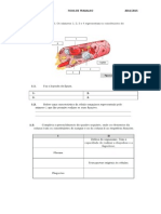 Ficha Multimatérias 6º Ano