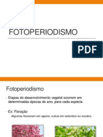 Aula 9. Fotoperiodismo