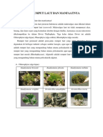 Download Jenis Rumput Laut Dan Manfaatnya by Hildayani ILdah SN250196055 doc pdf