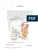 Download Spermatogenesis by gunsin1010 SN250196200 doc pdf