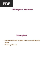 Download chloroplast genome by kenny SN25019883 doc pdf