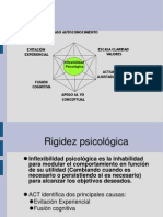 Presentacion Act PDF