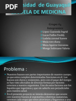 Experimentos de huesos