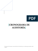 Cronograma Auditoria para Grupo Mendi