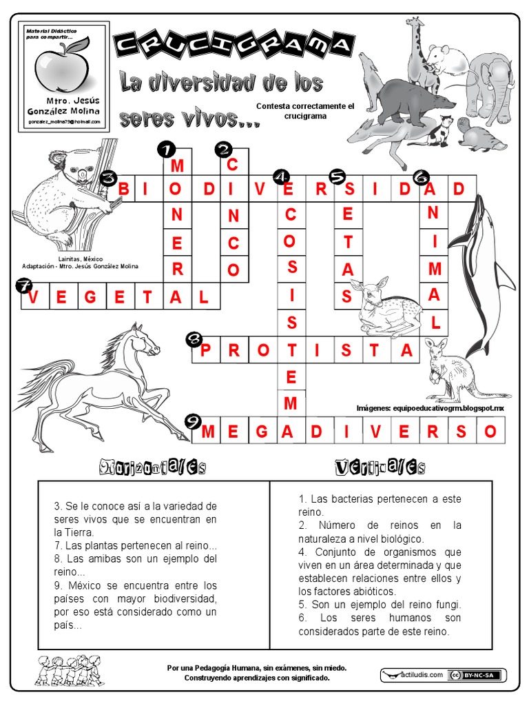 Crucigrama La Diversidad De Los Seres Vivos Clave