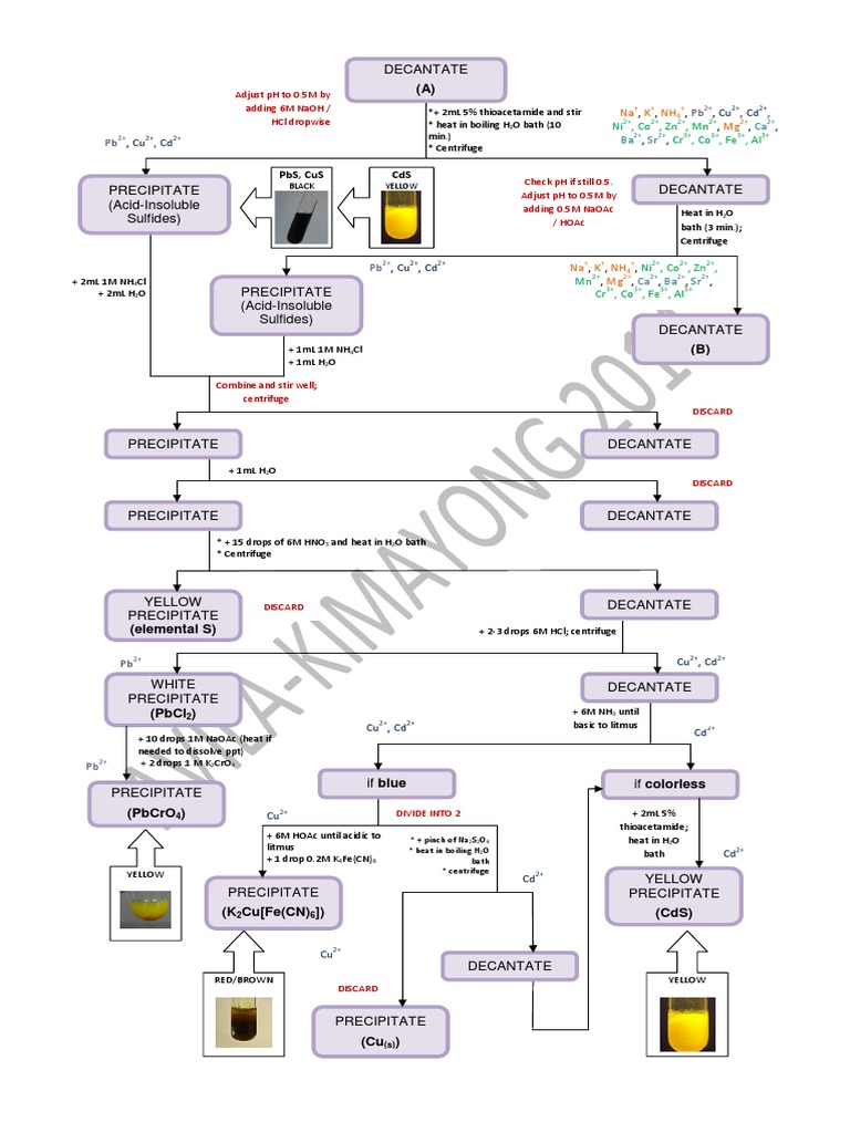Cation Group Separation Protocol | PDF | Cooking, Food & Wine