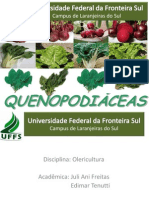 QUENOPODIÁCEAS - Olericultura