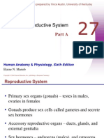 27-01 Pptlect