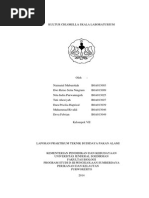 Download Kultur Chlorella Skala Laboraturium by Muhammad Rivaldi SN250248748 doc pdf