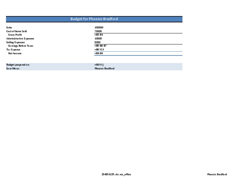 Phoenix Bradford Budget Overview | PDF