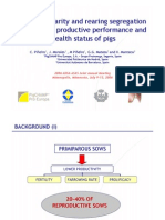 Effect of parity and rearing segregation at birth on productive performance and health status of pigs