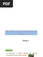CM_structure_physiologie_des_mycetes_parties_1_et_2.pdf
