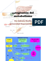 Integración Del Metabolismo