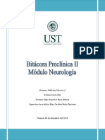 Bitacora Neuro CK UST